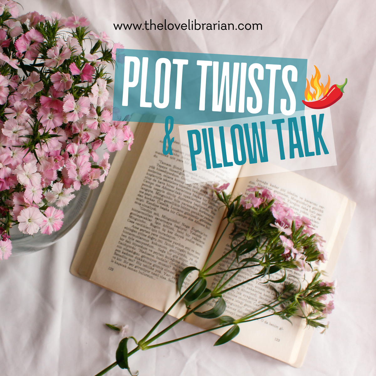 Plot Twists & Pillow Talk